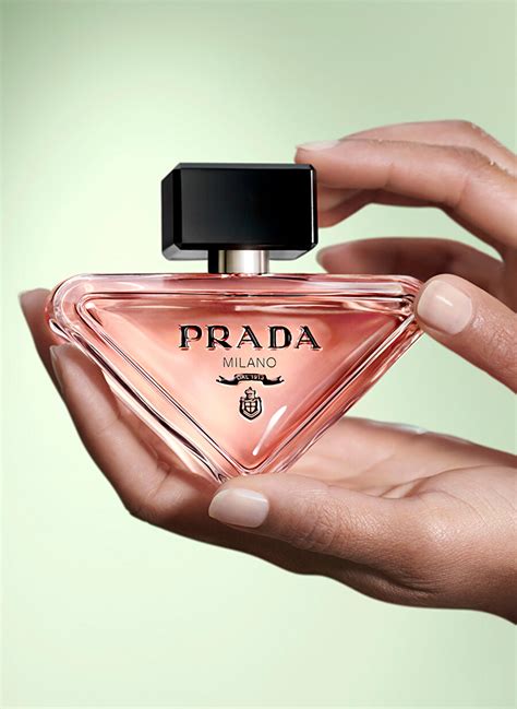 boyner prada paradoxe